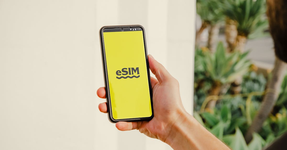 Pexels photo 20781841