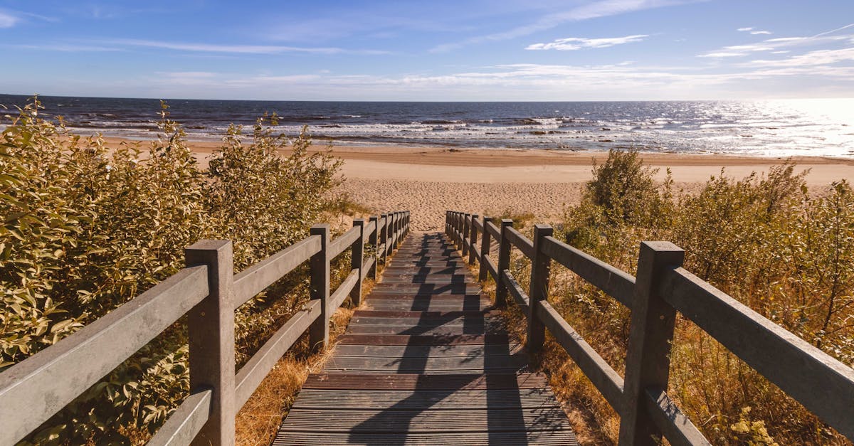 Pexels photo 1630035