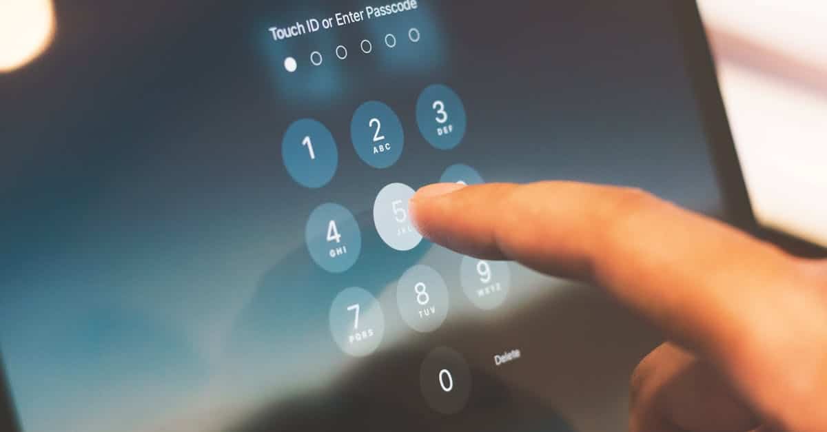 Pexels photo 27742642