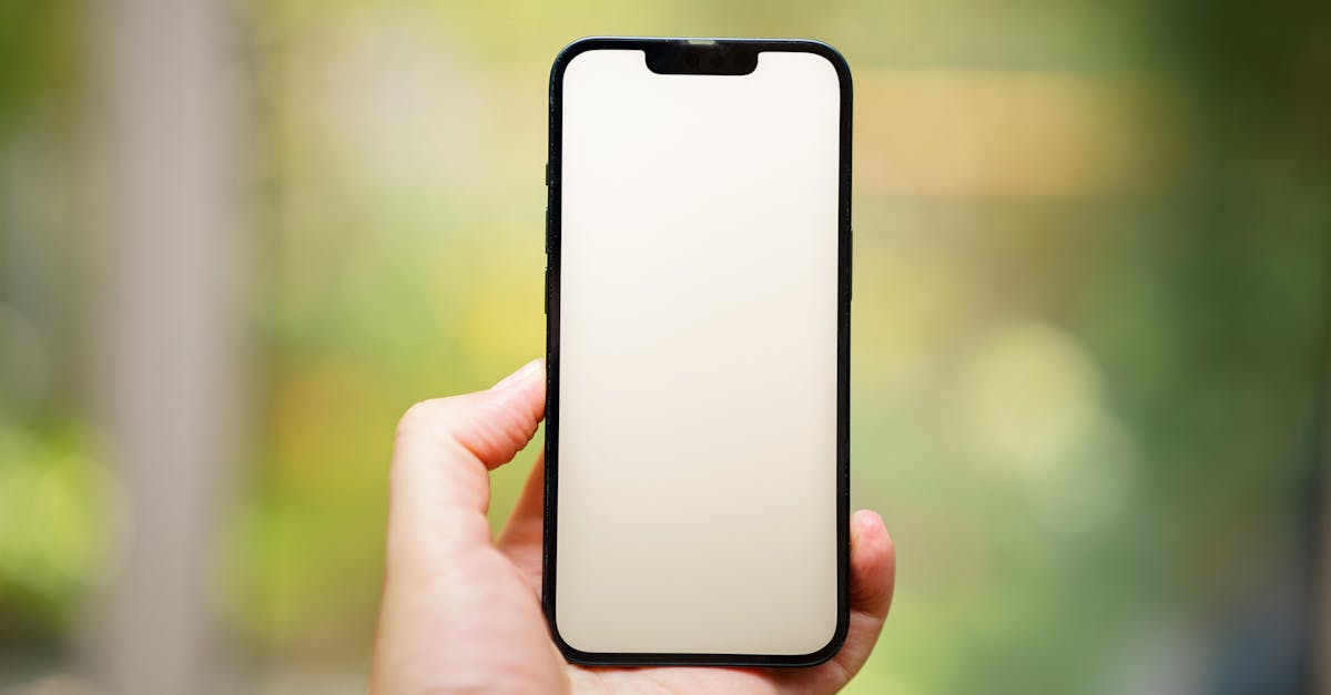 Pexels photo 27487608