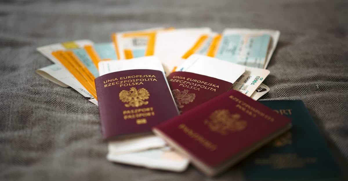 Pexels photo 33497885