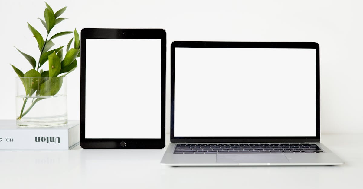 Pexels photo 8534244